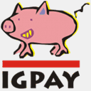igpay.com