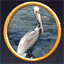 penglam.com