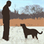 uniondogtraining.com