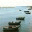 floatstheboat.wordpress.com