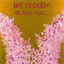 bitcloudy.bandcamp.com