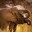 achangingwildworld.wordpress.com