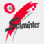 salminter.com