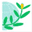 grains-of-peace.org