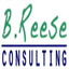 breeseconsulting.com