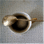 acoffeespoon.wordpress.com