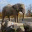 savingtheenvironment.wordpress.com
