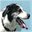 laughingdogforge.com