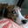 guminmin.wordpress.com