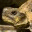 tortugasviajeras.wordpress.com