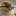 paulweusten.com