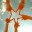 wizfun.wordpress.com
