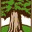 cedarcrestbuilders.com