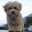 carlieu2002.wordpress.com