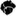 rashiedamon.com