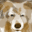 mokifinoki.com