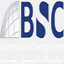 bsdubai.com
