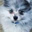 henrylechien.com