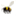busylittlebees.wordpress.com