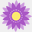 minds-in-bloom.com