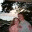 justasimplemind.wordpress.com