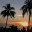 discoveringdarwin.wordpress.com