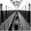 correctionalplusbook.com