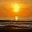 erwacheblog.wordpress.com