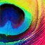 ruxlux.com
