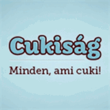 cukisag.blog.hu