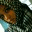 moonymadness.wordpress.com