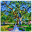 springplace.net