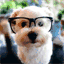 funnyncute.tk