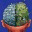 lexrightbrain.wordpress.com