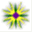 popeace.org