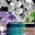 glitzblog.wordpress.com