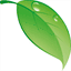 ecobark.com