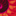 acupeggy.com