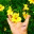 svkishere.wordpress.com