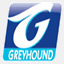 greyhound.co.za