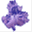 irisistible.fr