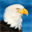 jonathaneagle.com
