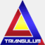 triangulumservices.com