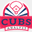 cubsanalyst.com