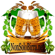 nonsolobirra.net