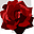 alchemyfloral.com