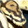 regius-morphs.de