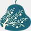 pyrus-studio.com