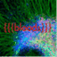 sdoolb.wordpress.com