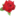 rmneil.com